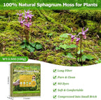 Legigo 3.5OZ Sphagnum Moss for Plants, 4QT Natural Orchid Moss Potting Mix Dired, Green Forest Plant Moss for Orchid Repotting Carnivorous Succulents Indoor Potted Plants Gardening and Reptiles