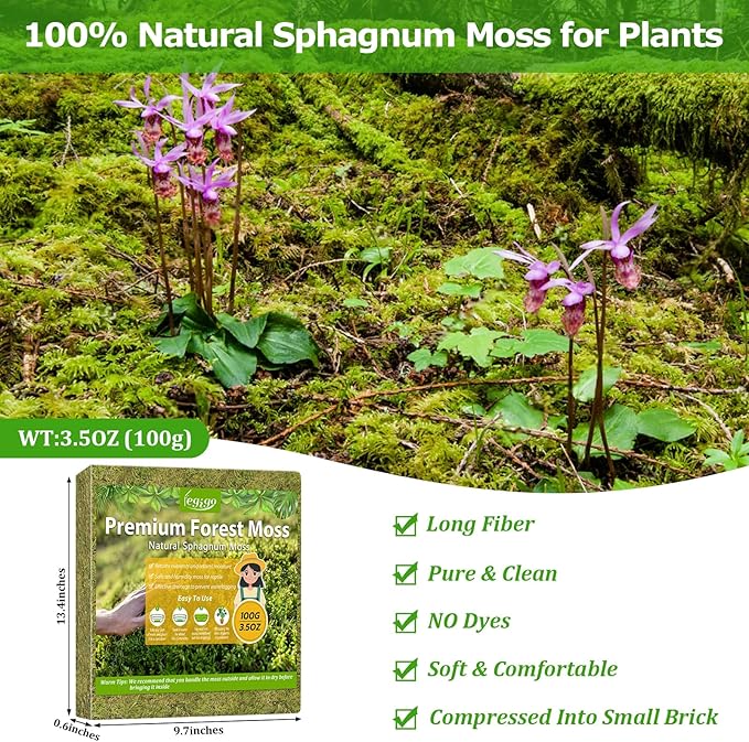 Legigo 3.5OZ Sphagnum Moss for Plants, 4QT Natural Orchid Moss Potting Mix Dired, Green Forest Plant Moss for Orchid Repotting Carnivorous Succulents Indoor Potted Plants Gardening and Reptiles