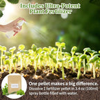 Herb Indoor Window Garden Kit - House Plants Seeds - Best Unique Christmas Gift Ideas for Women, Friend, Birthday, Housewarming, Mother, Beginner DIY Craft & Hobby Gardening Gift for Plant Lovers