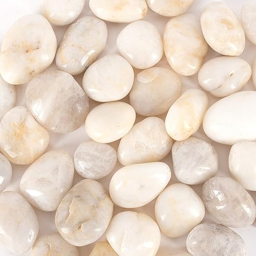 5 lbs Approx. 25 White River Rocks Stones for Plants Pebbles for Indoor Plants | Aquarium Fish Tank Rocks | Polished Decorative Rocks for Vases (2-3 Inches)