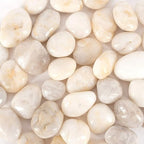 5 lbs Approx. 25 White River Rocks Stones for Plants Pebbles for Indoor Plants | Aquarium Fish Tank Rocks | Polished Decorative Rocks for Vases (2-3 Inches)