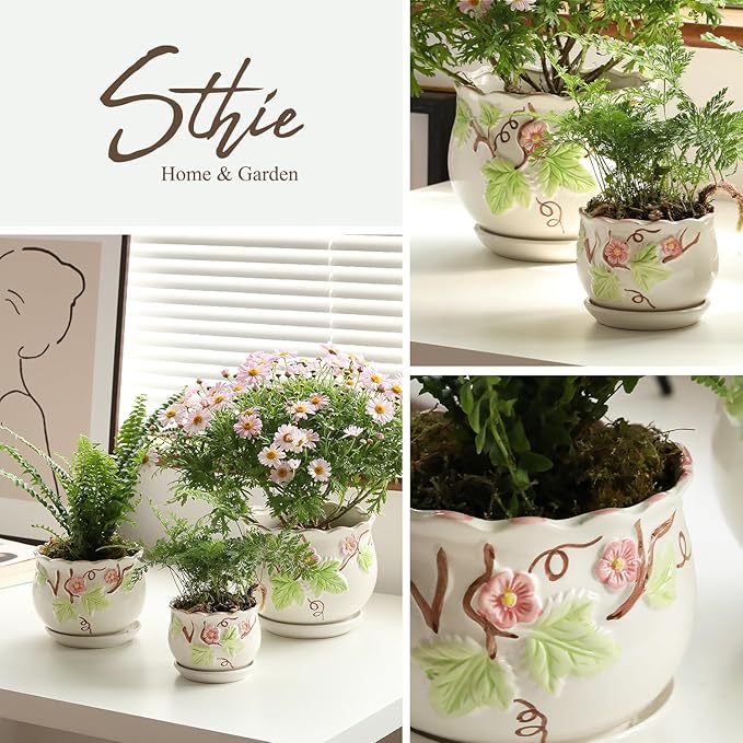 Ceramic Plant Pots with Drainage Holes and Saucers, Round Flower Pots for Indoor Plant, 4/5.2/6.6 Inches Vintage Flower Planters Set of 3
