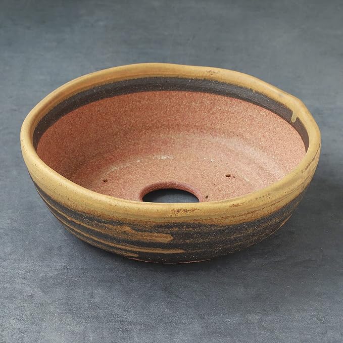 Wazakura Shigaraki Series Yellow Dust Stripe Glazed Ceramic Bonsai Pot Made in Japan, Garden Training Container, Flower Planter, Succulent Bowl - Yellow Sand Big Size