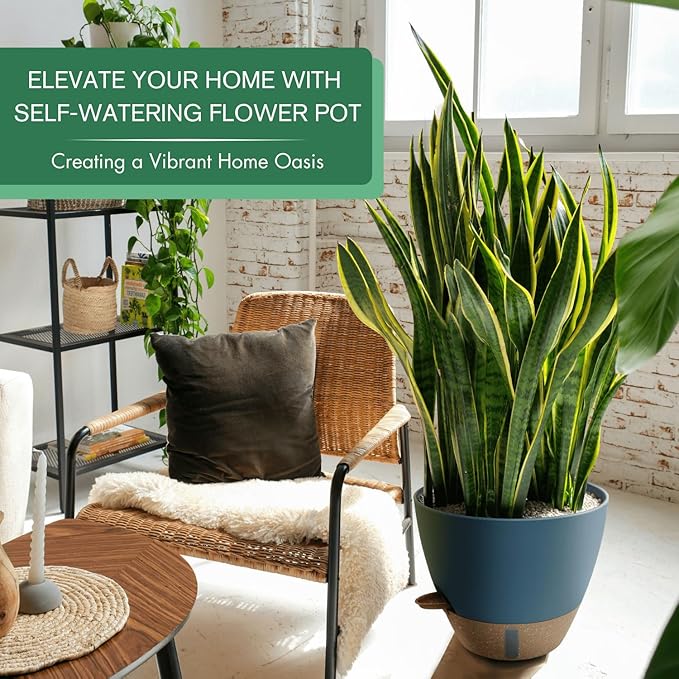 montresor 2 Pack 10 inch Plant Pots, PP Plastic Self Watering Plant Pot with Drainage and Tray for Indoor Outdoor Plants, Water Level Window & Reservoir Flower Pots Decorative Planter (Blue)