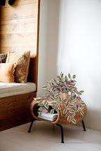 Briful Faux Plants Indoor 17.7in Fake Watermelon Peperomia Plant in Gold Pot with Realistic Silk Pink Leaves Artificial Potted Plant for Home Office Table Shelf Desk Modern Room Decor