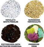 Cute Farms Terrarium Starter Kit | Moss, Vermiculite, Soil, Pebbles, Plant Food, & Finishing Tools (Large Kit + Live Plants + Crystals)