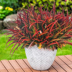 12 Bundles Fake Fall Outdoor Plants Artificial Grass Fall Stems Faux Plastic Fall Shrubs for Home Garden Pathway Window Box Front Porch Cemetery Fall Decor, Autumn Red