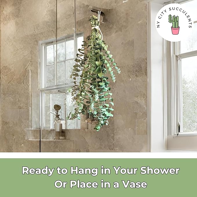 Eucalyptus for Shower Live Plant Real Bundle Fresh Stems Hanging Plants for Bathroom Leaves for Home Office Wedding Birthday Gift (Extra Large Bunch - 20 pcs)(Heat Pack Included)