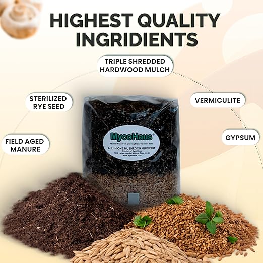 MycoHaus Mushroom All in One Growing Kit with Injection Ports | Indoor Grow Bags for Mushrooms | Home Cultivation Supplies | Without Spores | 2 Pack