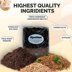 MycoHaus Mushroom All in One Growing Kit with Injection Ports | Indoor Grow Bags for Mushrooms | Home Cultivation Supplies | Without Spores | 1 Pack