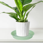 2 Pack of 10 inch Plant Saucer Gray, Heavy Duty Plastic Plant Saucer 10 inch Round, Durable Plant Tray for Pots, Plant Saucers for Indoors, Plant Trays for Planter 9"/10" (10", Light Green)