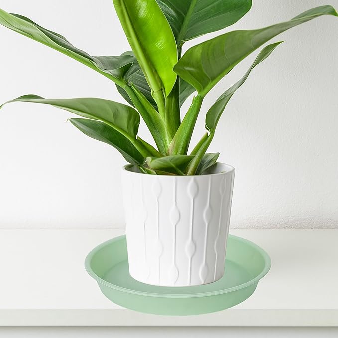 2 Pack of 8 inch Plant Saucer Clear, Heavy Duty Plastic Plant Water Tray 8 inch Round, Flower Plant Saucers for Indoors No Holes, Plant Dishes Saucer for Planter 7"/8" (8", Light Green)