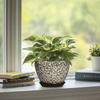 6 Inch Pots for Plants - Ceramic Plant Pots with Drainage Hole and Saucer, Round Planters for Indoor Plants Outdoor, Decorative Planter, Home Decor, Gifts for Plant Lovers, White Leopard