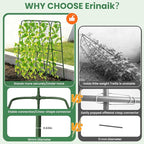 Cucumber Trellis for Raised Bed, 63" Heavy Duty U-Shape Garden Trellis for Climbing Plants Outdoor, Rustproof Plastic Metal Arch Vegetables Trellis Plant Support for Vine, Fruits, Beans and Flowers