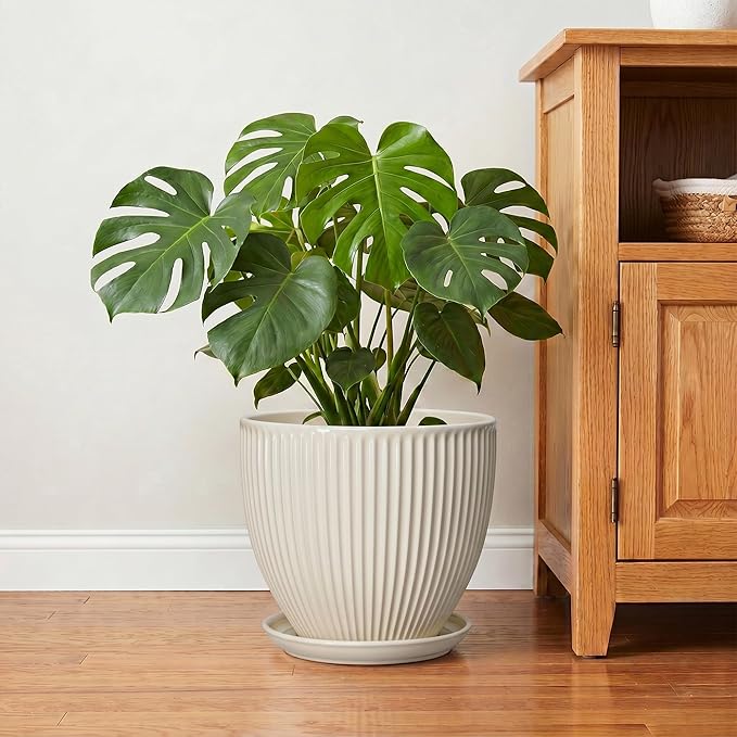 Ceramic Plant Pots, 10 Inch Pots for Plants with Drainage Hole and Saucer, Round Flower Pot for Indoor Plants, Decorative Indoor Planter, House Porch Decor, House Warming Gifts, Cream White
