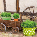 Ouddy Decor 24 Bundles Artificial Plants Outdoors Fake Wheat Grass Faux Greenery Stems Plastic Shrubs UV Resistant for Patio Garden Porch Window Box Spring Home Decor, Green