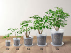 Large Clear Nursery pots for Plants with Saucers,10 pcs 9.5/8.3/7/6/5 inch Thick Plastic Nursery pots for Plants with Drainage Holes for Monstera,Aroid
