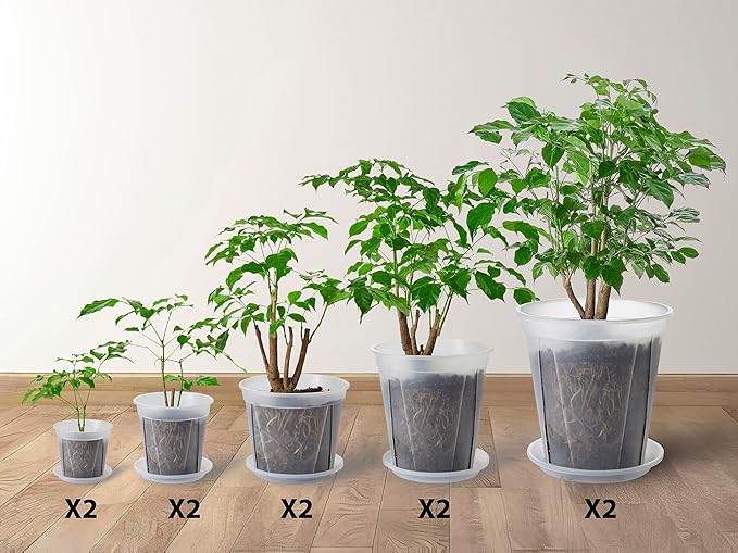 Large Clear Nursery pots for Plants with Saucers,10 pcs 9.5/8.3/7/6/5 inch Thick Plastic Nursery pots for Plants with Drainage Holes for Monstera,Aroid