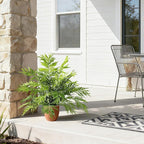 2 Pack Artificial Fern Plants in Pots Artificial Boston Ferns Potted Plants Faux Fern Bush Plant Shrubs Greenery for Outdoor Indoor Porch Patio Farmhouse Garden Living Room Office Table Decor (Type 3)