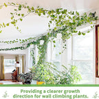 LUOTIVON 72 Pcs Plant Climbing Wall Fixture Clips, Plant Fixer Invisible Wall Vines Fixing Clips with 72 Pcs Acrylic Adhesive Sticker, Self-Adhesive Hook Plant Vine Support Holder