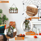 Plant Terrarium Propagation Stations Hydroponics Halloween Skull Planter Vase Skulls Decor with Wooden Stand Gife for Father