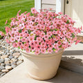 16PCS Fake Flowers for Outdoors, Realistic Fake Artificial Flowers for Outside, No Fade Faux Eucalyptus Plants for Outdoor Planter, Window Box, Hanging Basket - Porch Patio Garden Decor