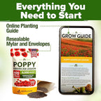 HOME GROWN American Legion Red Poppy Seeds - 6,000 Vibrant Wildflower Seeds for Planting Outdoors - Annual Poppy Flowers - Memorial Garden & Pollinator Friendly (Papaver rhoeas)
