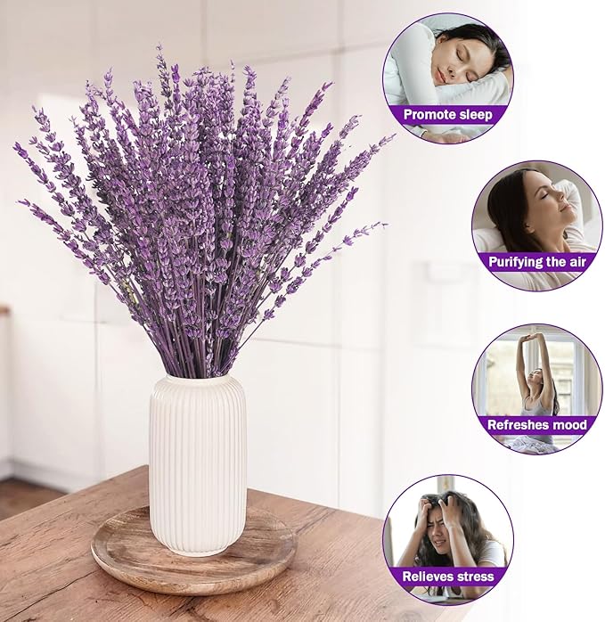 Uieke Dried Lavender Flowers Bundles, 16" Dried Purple Preserved Lavender Stems Bouquet for Shower Weeding Home Fragrance Vase Crafts Decor, 100g(3.52oz)
