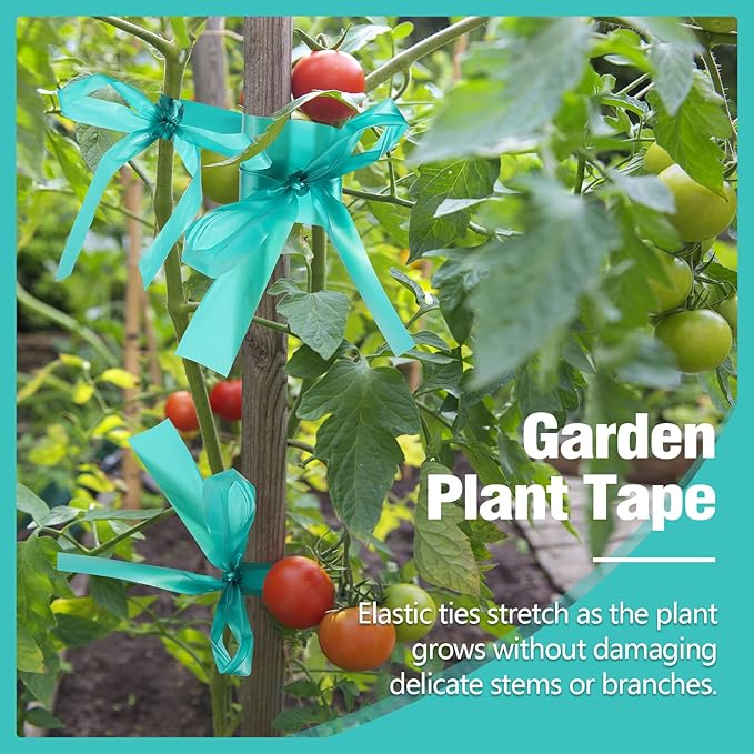 Prudiut 300FT Stretch Tie Tape Roll, 1'' Plant Tape Green Stretch Garden Tie, Thick Sturdy Tree Nursery Tapes Vinyl Stake Ribbon Support for Indoor Outdoor Patio Plant, Tree, Vegetables, Branches