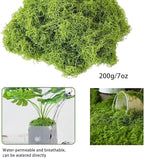 Fake Green Moss for Decorating, Artificial Moss for Aquarium Model Crafts Table Centerpieces Decor (Green, 200g/7oz)