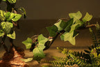 AQUA KT Reptile Corner Branch Terrarium Plant Decoration with Suction Cup for Amphibian Lizard Snake Climbing