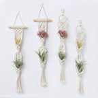 4 Pack Air Plants Holders, Wall Planters for Indoor Plants | Macrame Plant Hanger, Air Plant Hanger for Air Fern, Tillandsias, Live Houseplants & Succulent (NO Plant Included)