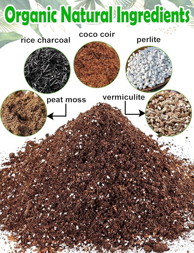 TOYPOPOR Potting Soil for All Indoor Houseplants, (10qt) Contains Perlite, Peat Moss, Coco Coir, Rice Charcoal, Well Draining Potting Mix Light, Aerated Texture for Healthy Plant Roots, Fast Growth