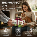 Cat Grass Kit for Indoor Cats – x4 Seed Packets | Cat Grass Seeds with Wooden Planter, Soil & Mini Gardening Tools for Nipping & Nibbling – Pet Wheatgrass Grass