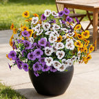 17 Inch Artificial Faux Pansy Flowers for Outdoor,Fake Pansies Flowers with Eucalyptus Leaves Fake Plants Greenery Boxwood Porch Patio Decor 6 Bundles(Light Purple,Dark Yellow,White)