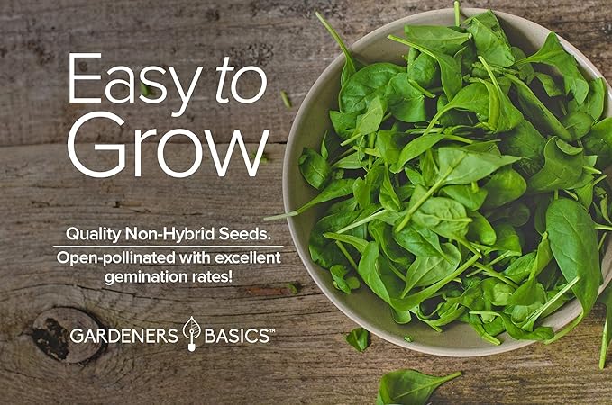 Gardeners Basics, Bloomsdale Spinach Seeds for Planting is A Great Heirloom, Non-GMO Vegetable Variety- Great for Indoor, Outdoor and Hydroponics Gardening