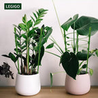 Legigo 3 Packs Plant Support Cages Tomato Cage for Garden- 18 Inch Adjustable Garden Cucumber Trellis Plant Stakes, Trellis Support Rings for Climbing Plants, Pots, Indoor Plants with 10 Plant Clips