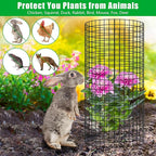 5 Pack Plant Protector from Animals, 24x12 inch Wire Plant Cages Mesh Plant Cage Garden Plant Protector, Sturdy Bunny Barricades Chicken Wire Cloche Plant Protectors for Keeping Bunny Animals Out