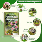 ZeeDix 8 oz Forest Moss for Plants Indoor - Dried Orchid Moss for Repotting, Natural Green Sphagnum Moss for Potted Plants Carnivorous Monstera Succulents Crafts Reptile Habitat (Expands to 12 qt)
