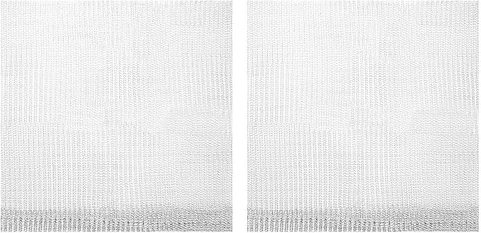 M METERXITY 2-Pack 3 Gallon Plant Root Protector 14x14 Inch, Stainless Stainless Root Guard Baskets Wire Mesh Garden Protection Netting for Tree/Tubers/Crops/Flower/Vegetables/Fruit