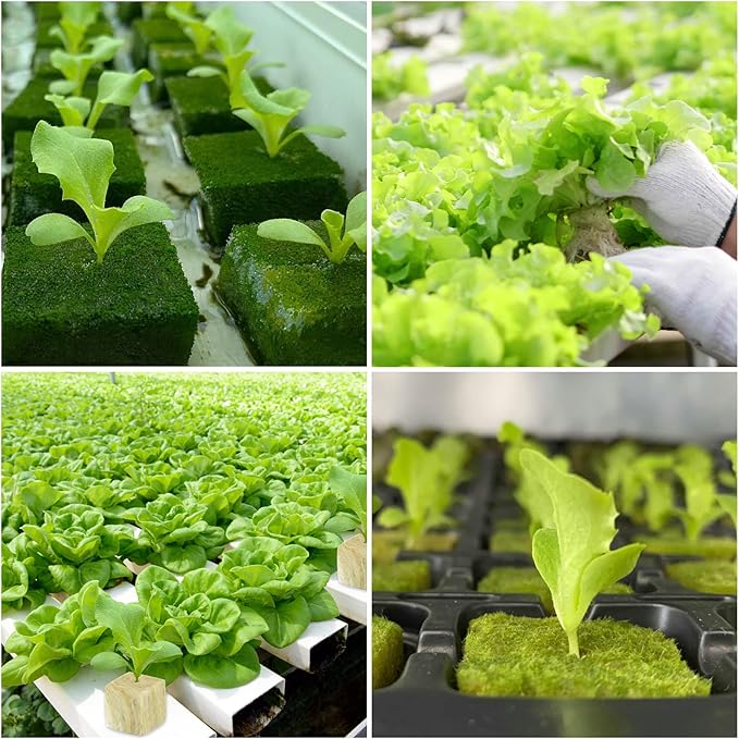 Legigo 1 Inch Rockwool Cubes Seed Starter Plugs for Hydroponics, RockWool Planting Grow Cubes for Hydroponic Tower Garden Soilless Cultivation Plants Germination Cutting Clone (2 Sheet, 100 Plugs)