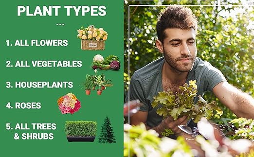 Gardenwise 6-6-6 All-Purpose Professional Plant Food Fertilizer; Ideal for Winter Care & Spring Feeding, Perfect Balanced NPK for Indoor and Outdoor Plants (1/2 Quart)