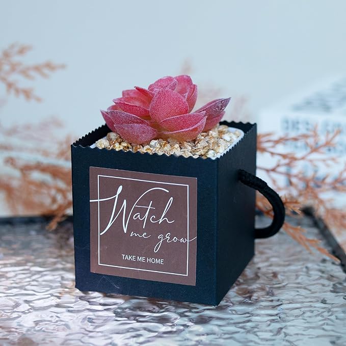 Temlum 2.5 Inch Succulent Wrap Bags (Fits 2.5″ Pots) with Thank You & Watch Me Grow Stickers, Small Gift Box for Wedding, Baby Shower, Succulent Party Favors for Guests (Black 40pcs)