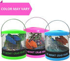 Needzo DIY Terrarium Kit, Small Hermit Crab Starter Kit with Wire Cage, Palm Tree Water Holder, Sponge, Bag of Food and Gravel, All in One Pet Supplies, Color May Vary, 4.5 Inches