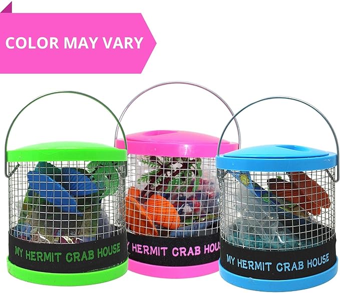 Needzo DIY Terrarium Kit, Small Hermit Crab Starter Kit with Wire Cage, Palm Tree Water Holder, Sponge, Bag of Food and Gravel, All in One Pet Supplies, Color May Vary, 4.5 Inches