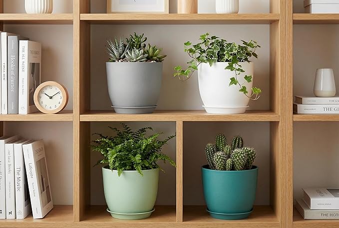 8 Inch Plant Pots Set of 4, Plastic Planters with Drainage Holes and Tray, Flower Pots for Indoor Outdoor Plants and Flowers (Multicolor)