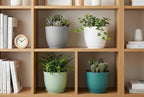 8 Inch Plant Pots Set of 4, Plastic Planters with Drainage Holes and Tray, Flower Pots for Indoor Outdoor Plants and Flowers (Multicolor)
