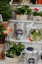Behrens 1.5 Gallon Hot Dipped Steel Watering Can
