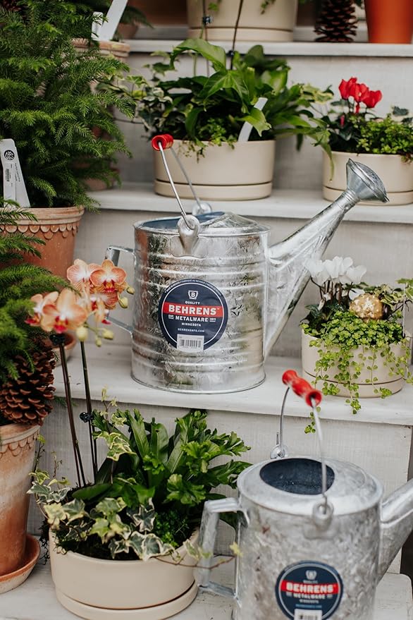 Behrens 2 Gallon Hot Dipped Steel Watering Can