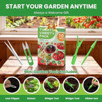 10 Pack Heirloom Tomato Seeds Variety Pack -5000+ Non-GMO Garden Seeds for Planting Outdoors & Indoor Home Gardening Gift, Roma, Chreey Tomatoes & More